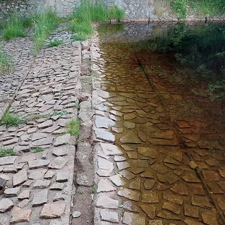 U Dvou Slunecnic Daire Cerne Udoli