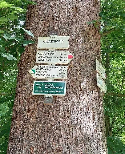 U Dvou Slunečnic Apartmán