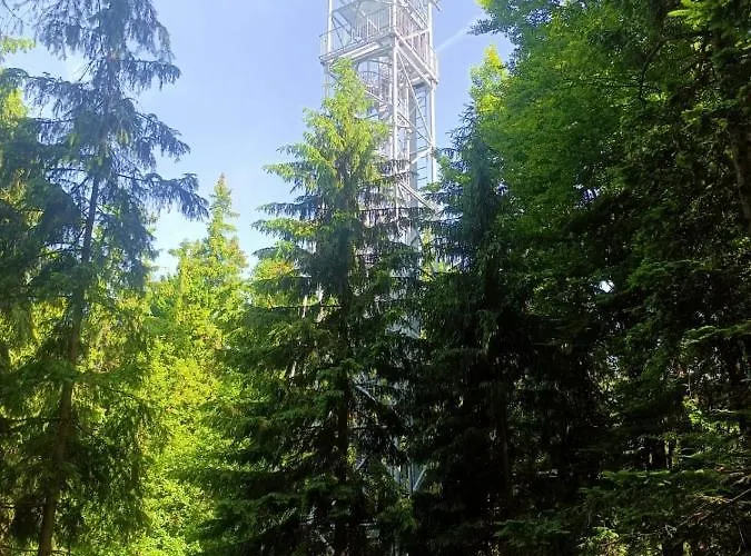 U Dvou Slunečnic * Cerne Udoli